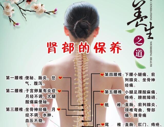 南寧美容培訓(xùn)：腎部保養(yǎng)銷售話術(shù)