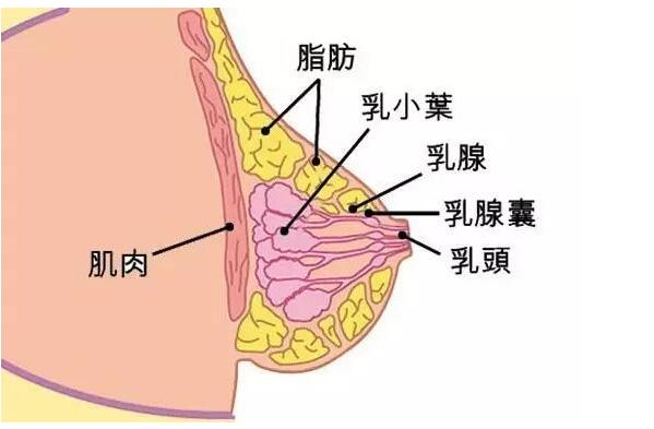 QQ截圖20210410141849.jpg
