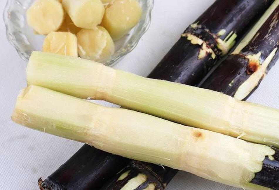 秋冬適合吃什么？南寧教美容養(yǎng)生的學校分享給你