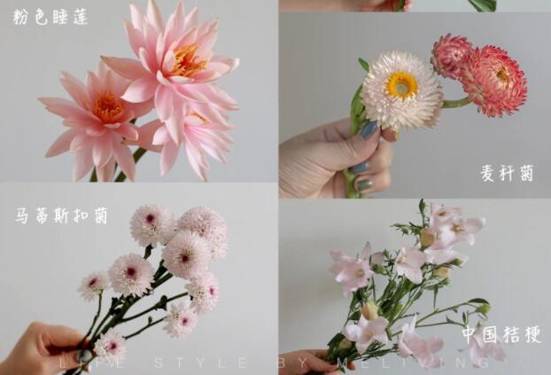 認識常見花朵的名稱，廣西插花學(xué)?；ㄋ嚺嘤?xùn)基礎(chǔ)