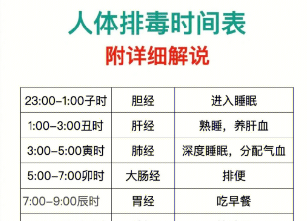 人體排毒時(shí)間表，南寧美容專業(yè)學(xué)校詳細(xì)解說(shuō)