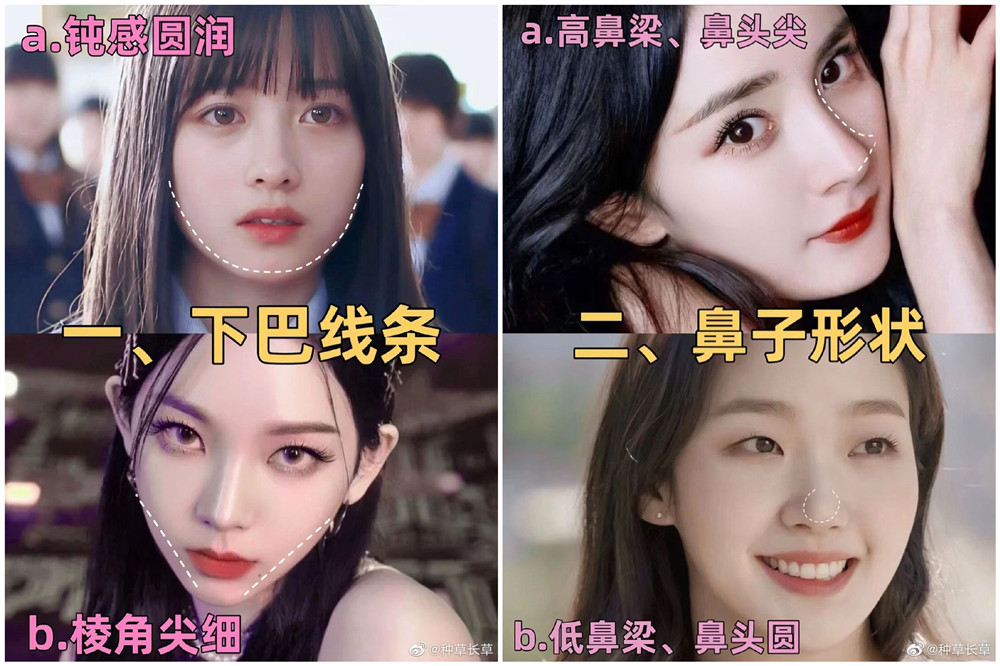 彩妝妝容分析分享：自測動物系長相？