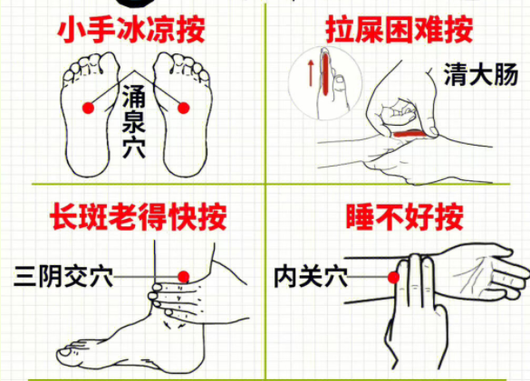 女性如何養(yǎng)生調(diào)理 ？南寧中醫(yī)美容培訓(xùn)分享
