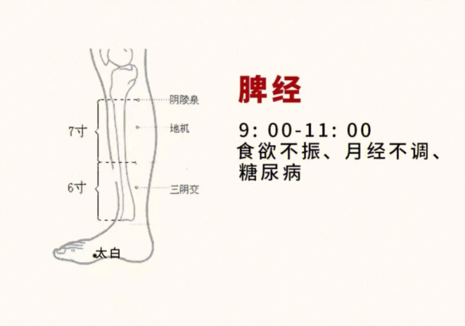 日常容易堵塞的身體部位，廣西美容基礎(chǔ)教學(xué)