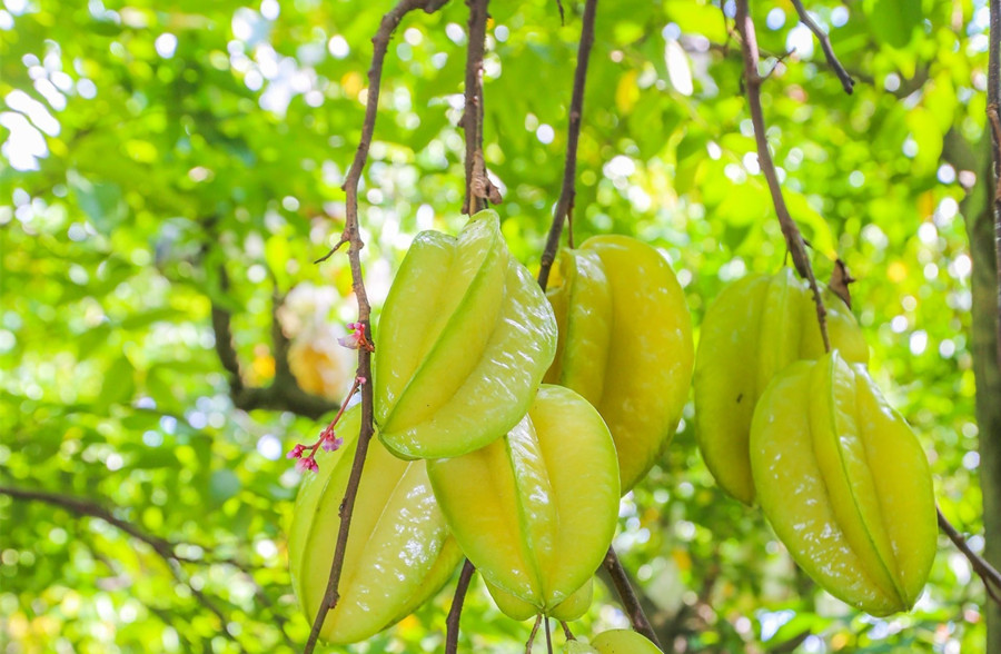 廣西美容護(hù)膚養(yǎng)顏班：春天吃什么水果好？