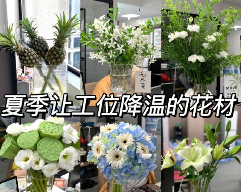自帶降溫效果的花材，廣西學(xué)鮮花技術(shù)