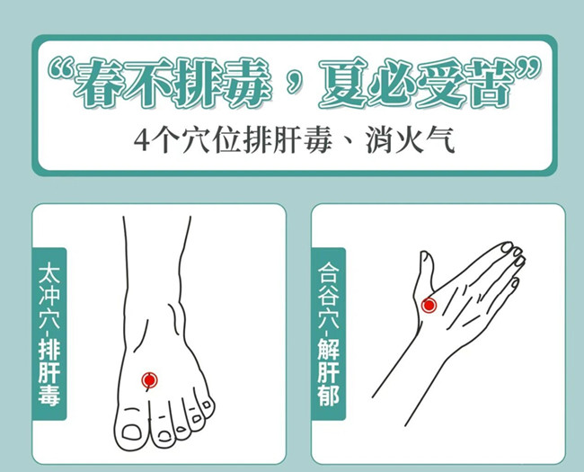 南寧美容健康管理：春季如何養(yǎng)生？