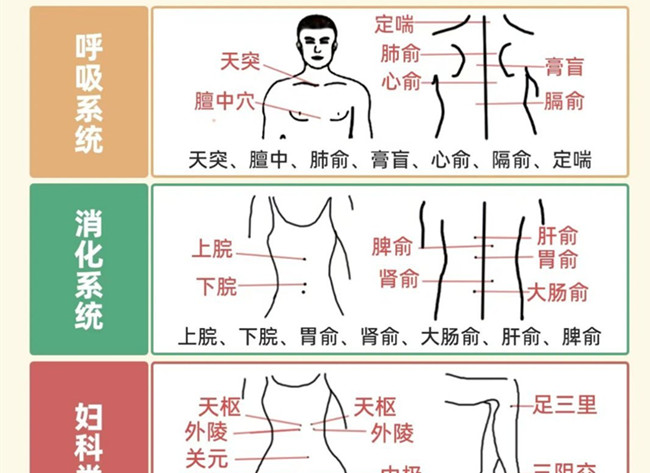 不同部位三伏貼艾灸作用，廣西美體中醫(yī)培訓